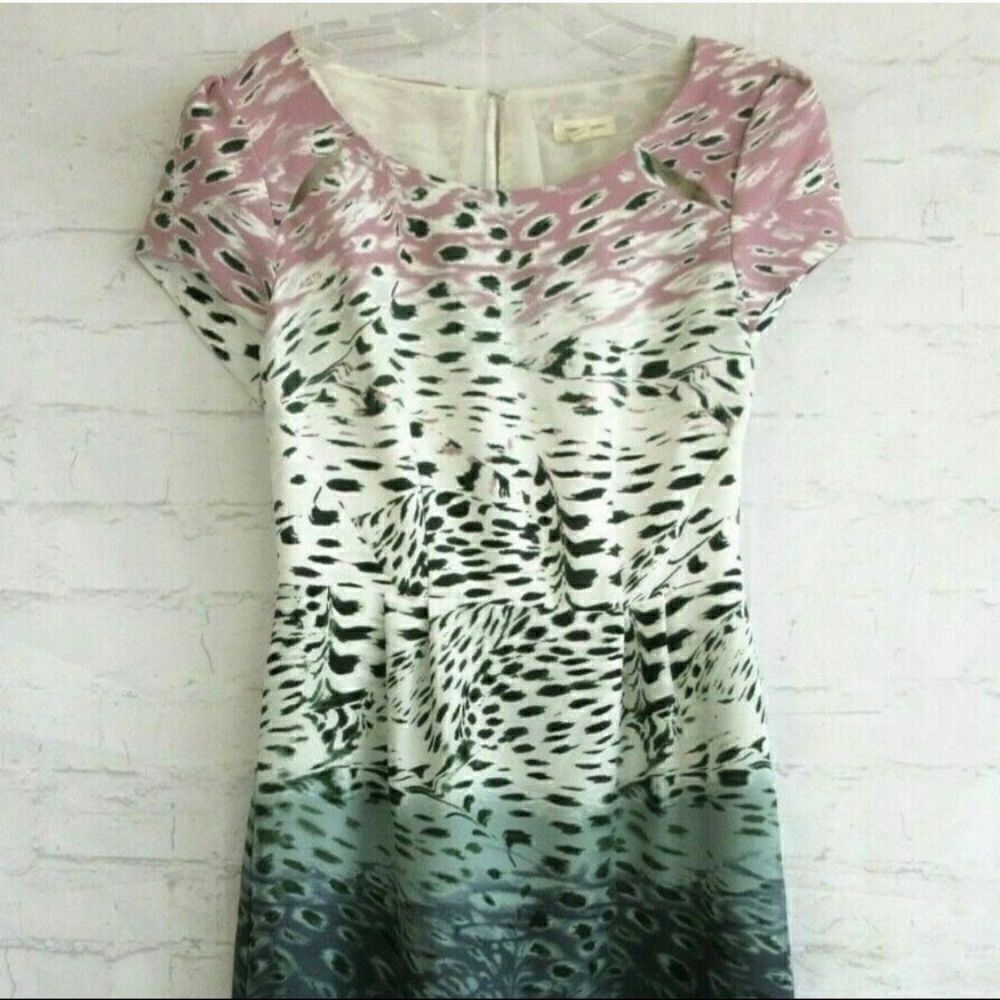 Silence + Noise Ombré Cheetah Print Dress Size 10